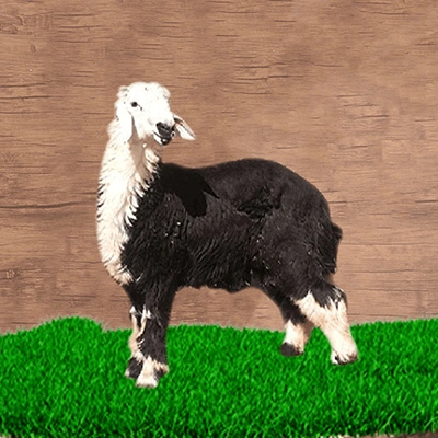 Najdi